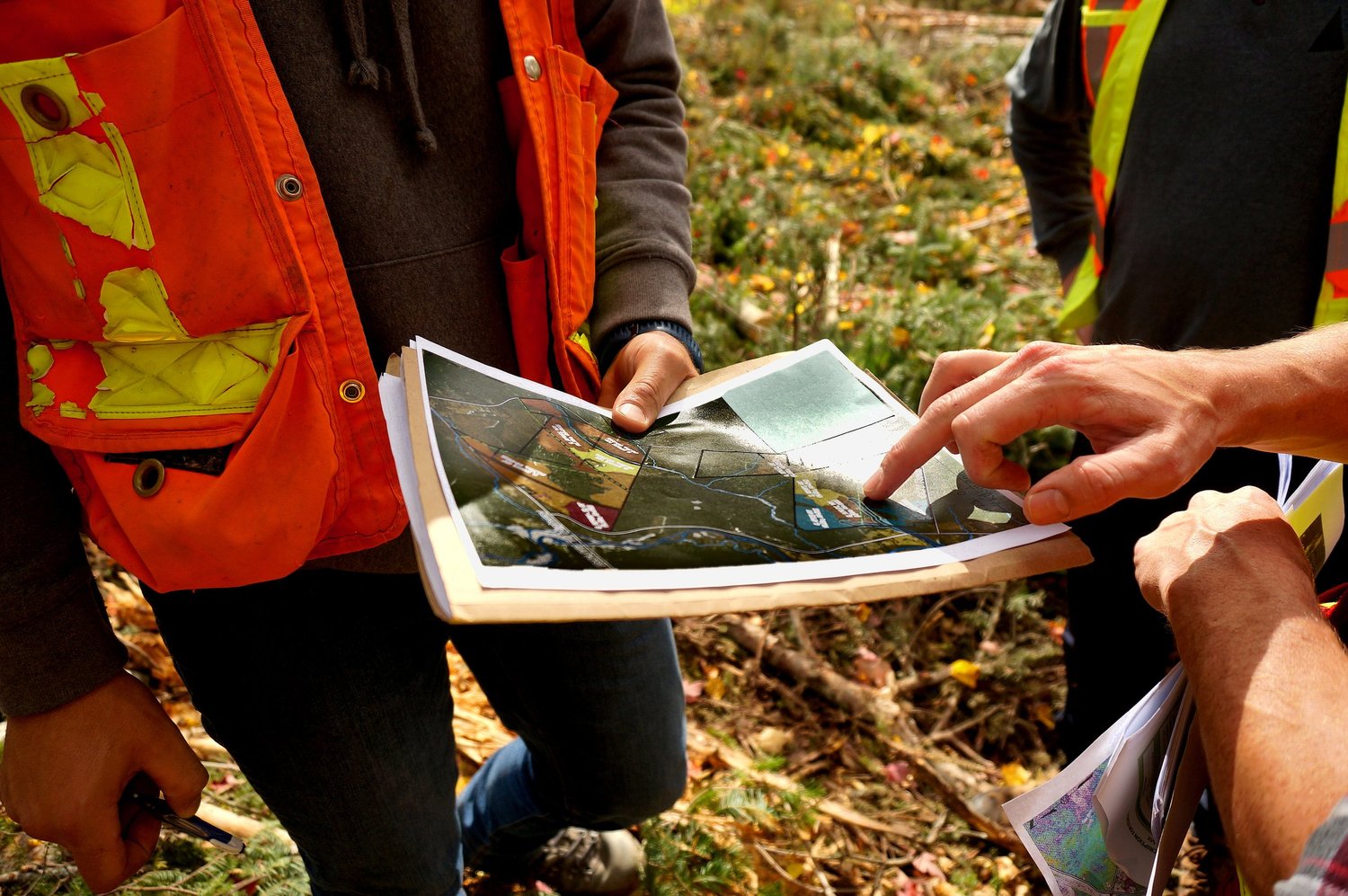 ACFOR forest consulting and planning — Atlantic Canada