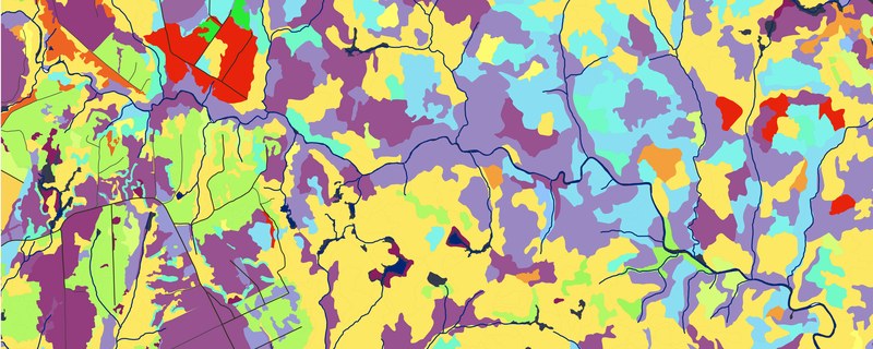 Forest stand delineation mapped from ACFOR's spatial analysis